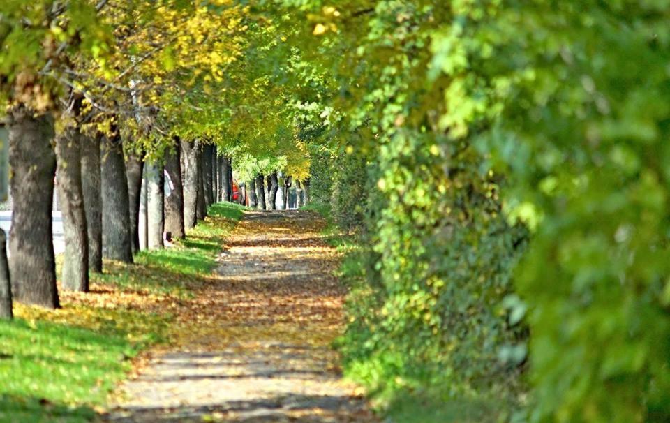 Бутиков Хотел History Haskovo Ngoại thất bức ảnh